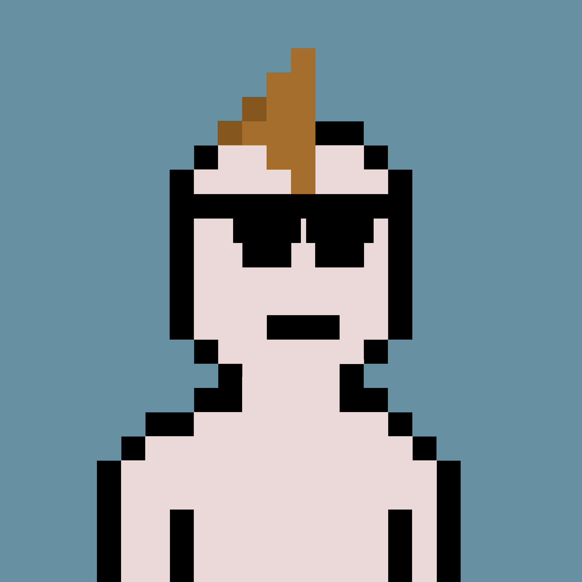 V0 Punk #2545
