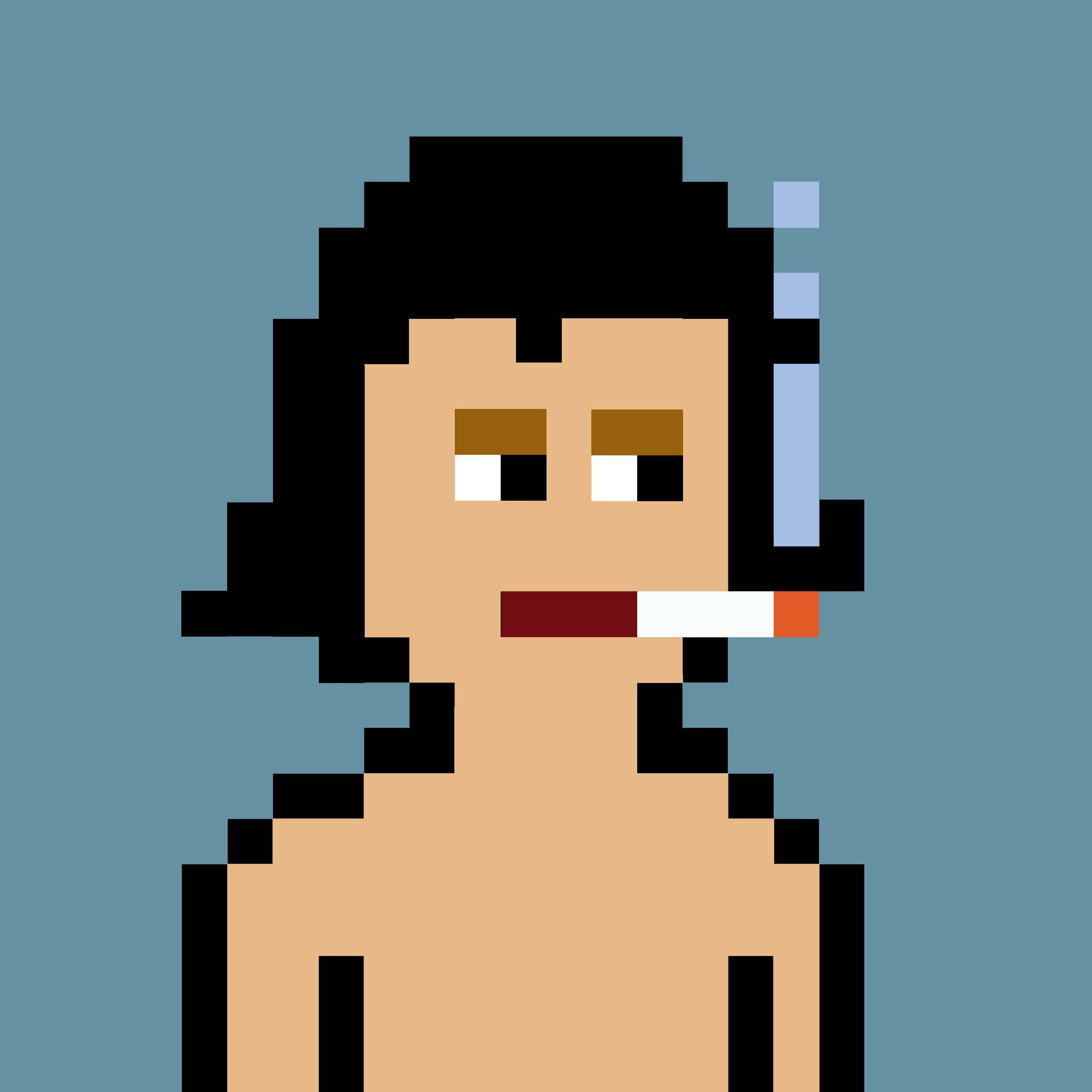 V0 Punk #1273