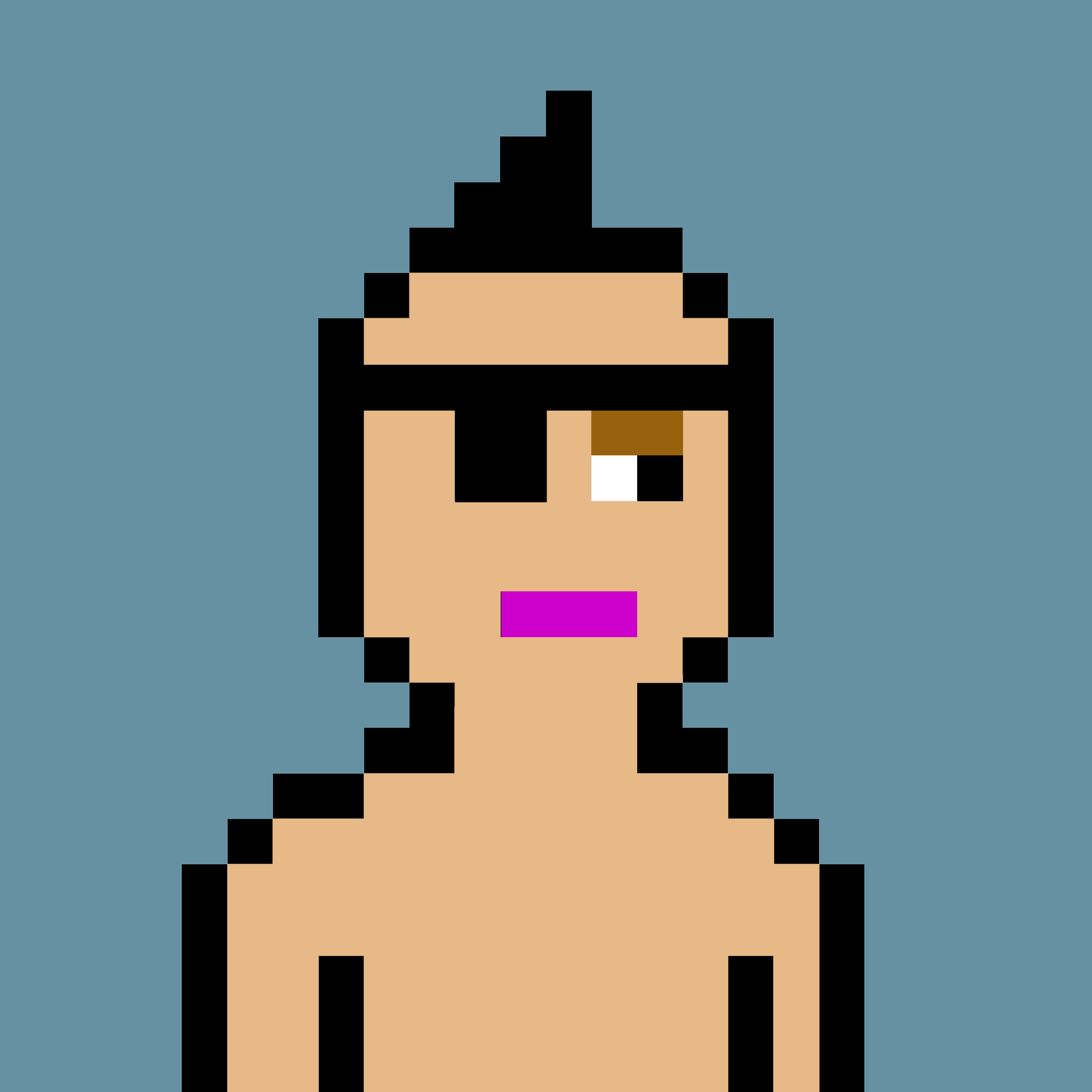 V0 Punk #5648